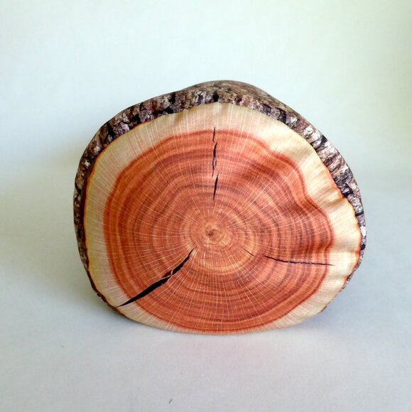 KIKKERLAND BRAND 14” MICROBEAD CAMP FIRE LOG NECK DECORATIVE PILLOW - Picture 5 of 10